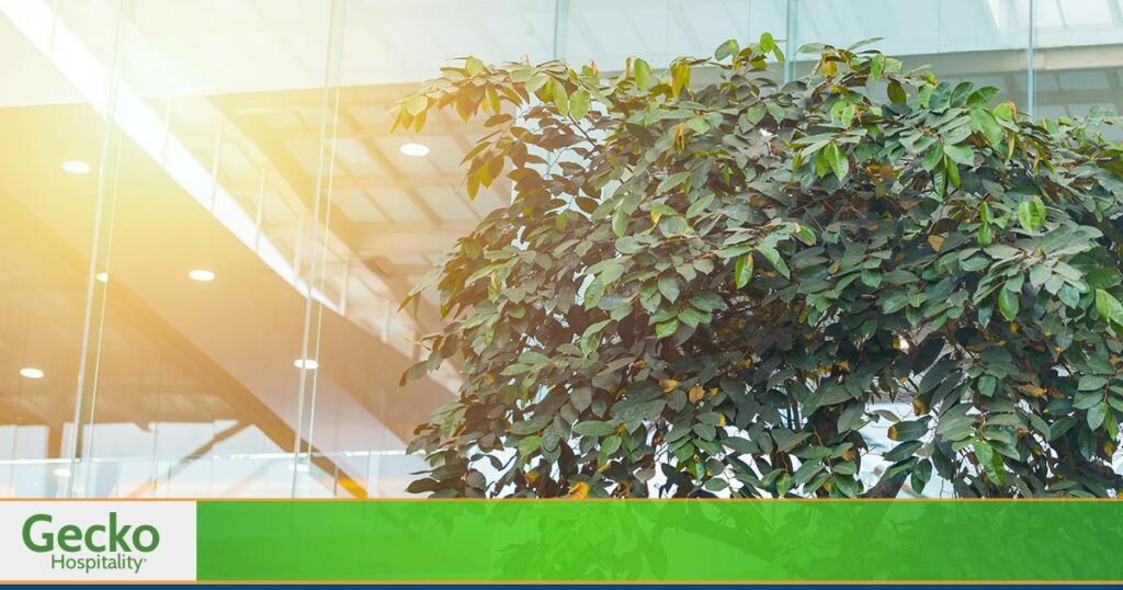 Hospitality jobs, hospitality employment, hospitality employment agency, hospitality ceo jobs, hospitality jobs, chef jobs, hospitality manager jobs, hospitality employment agency, general manager hotels jobs, gecko hospitality restaurants, gecko hospitality