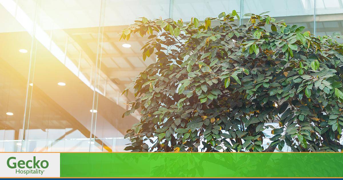 Hospitality jobs, hospitality employment, hospitality employment agency, hospitality ceo jobs, hospitality jobs, chef jobs, hospitality manager jobs, hospitality employment agency, general manager hotels jobs, gecko hospitality restaurants, gecko hospitality