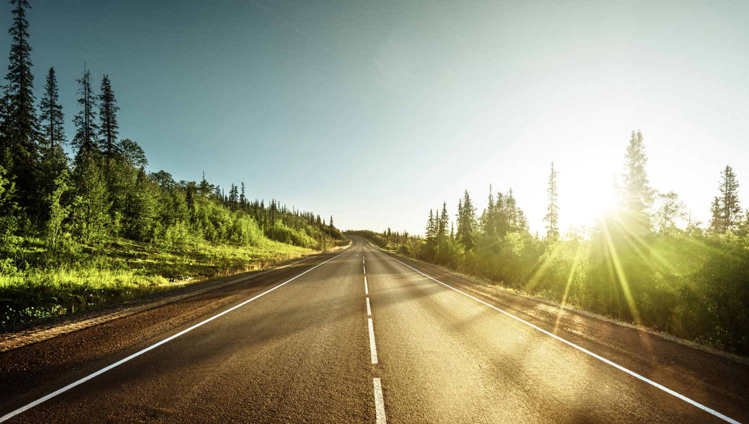 Franchise-Opportunities-Why-Gecko-Expand-Your-Hospitality-Horizons