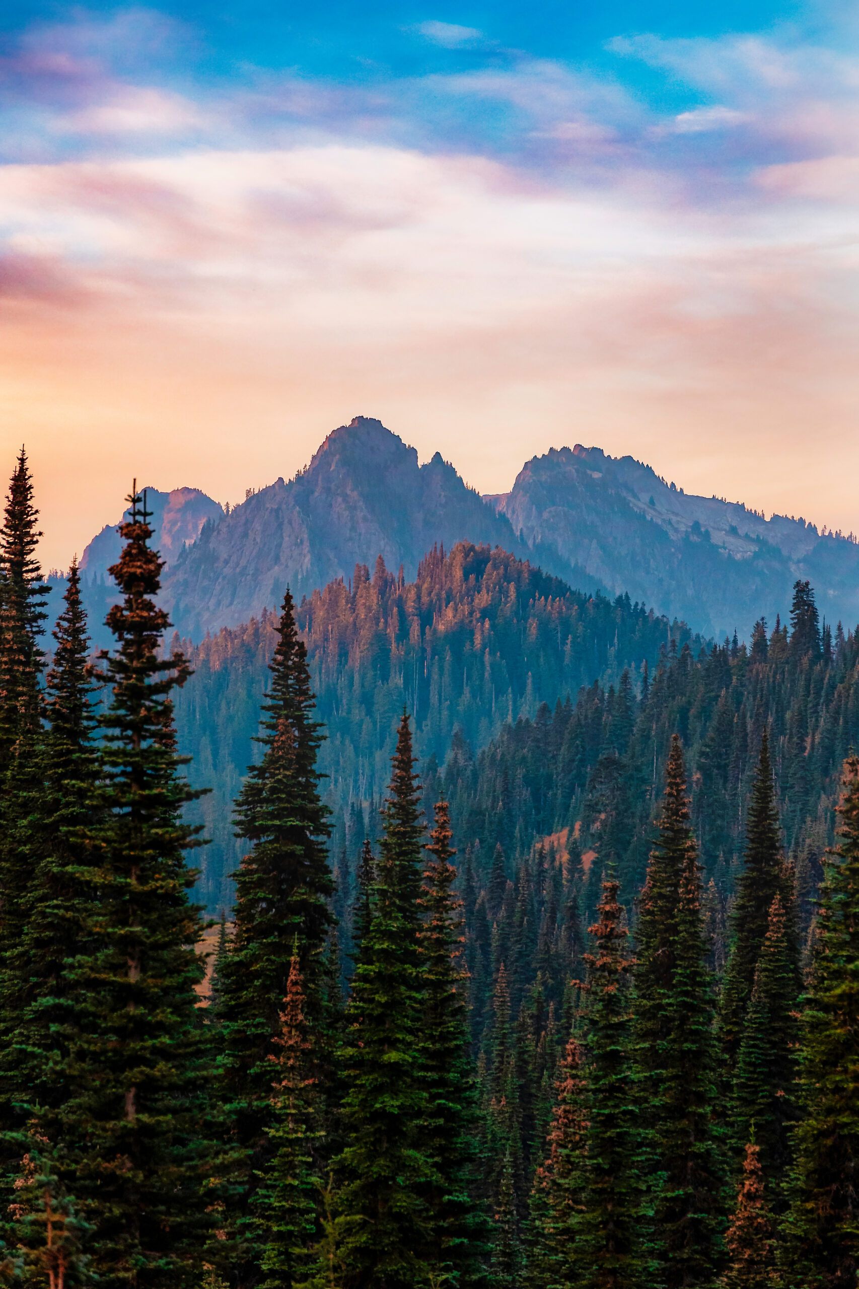 Views from the famous Mount Rainier National Park in Washington.