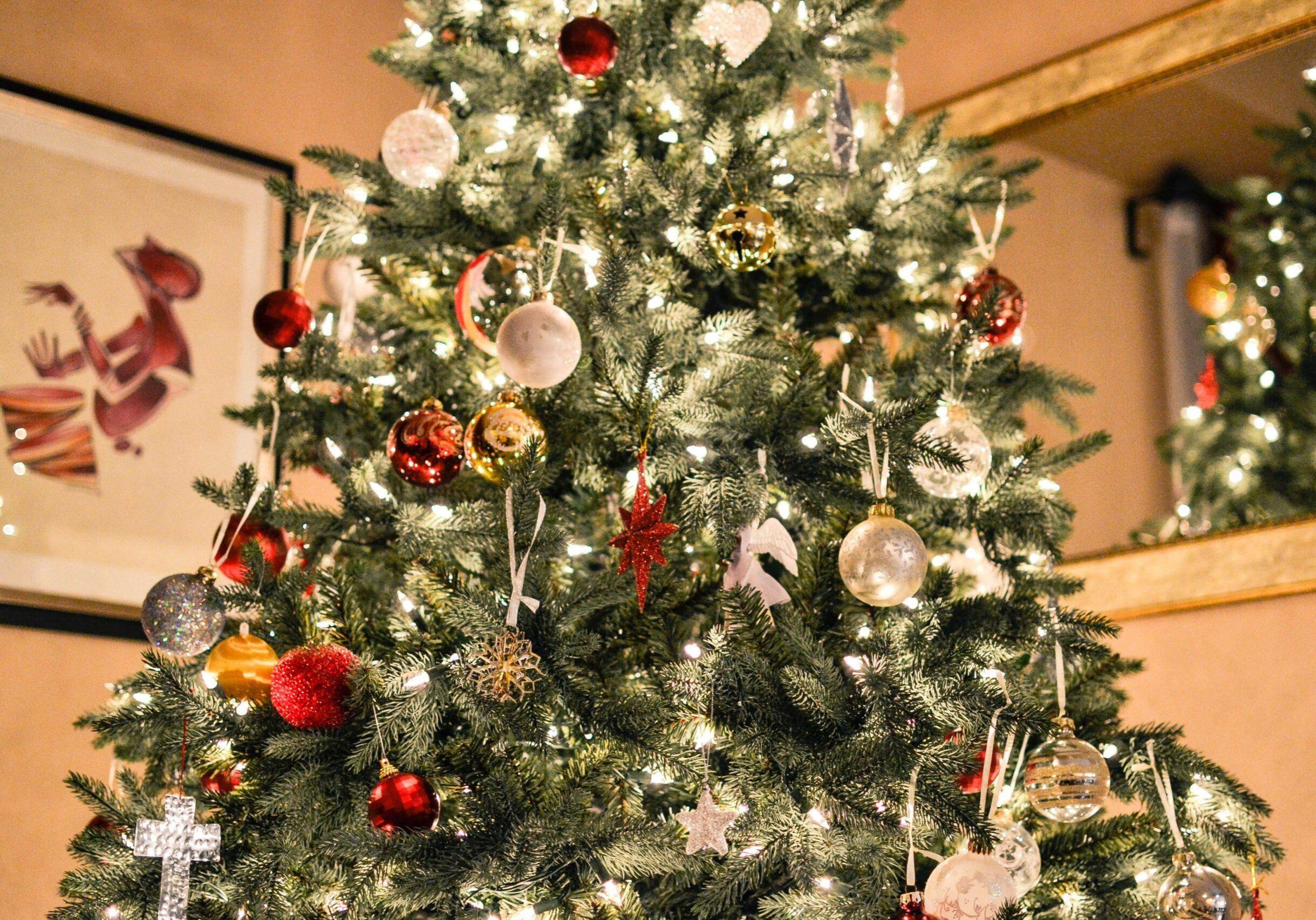 christmas movies tree gecko hospitality